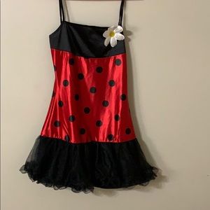 Lady bug women’s costume